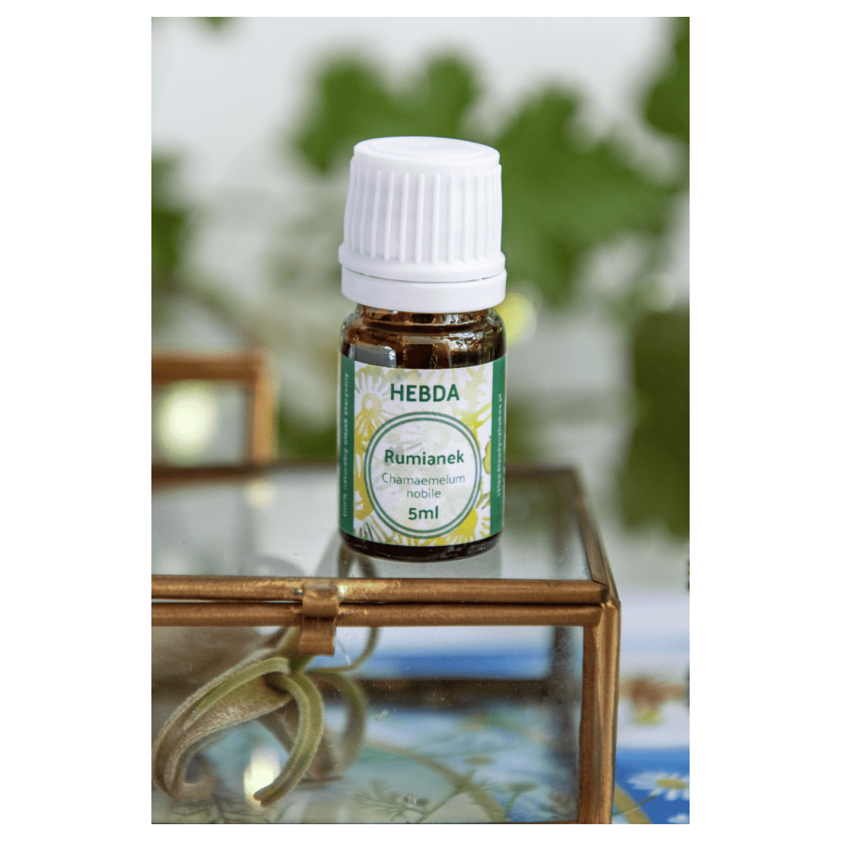 Olejek rumiankowy (na ząbkowanie) [5ml] - Klaudyna Hebda