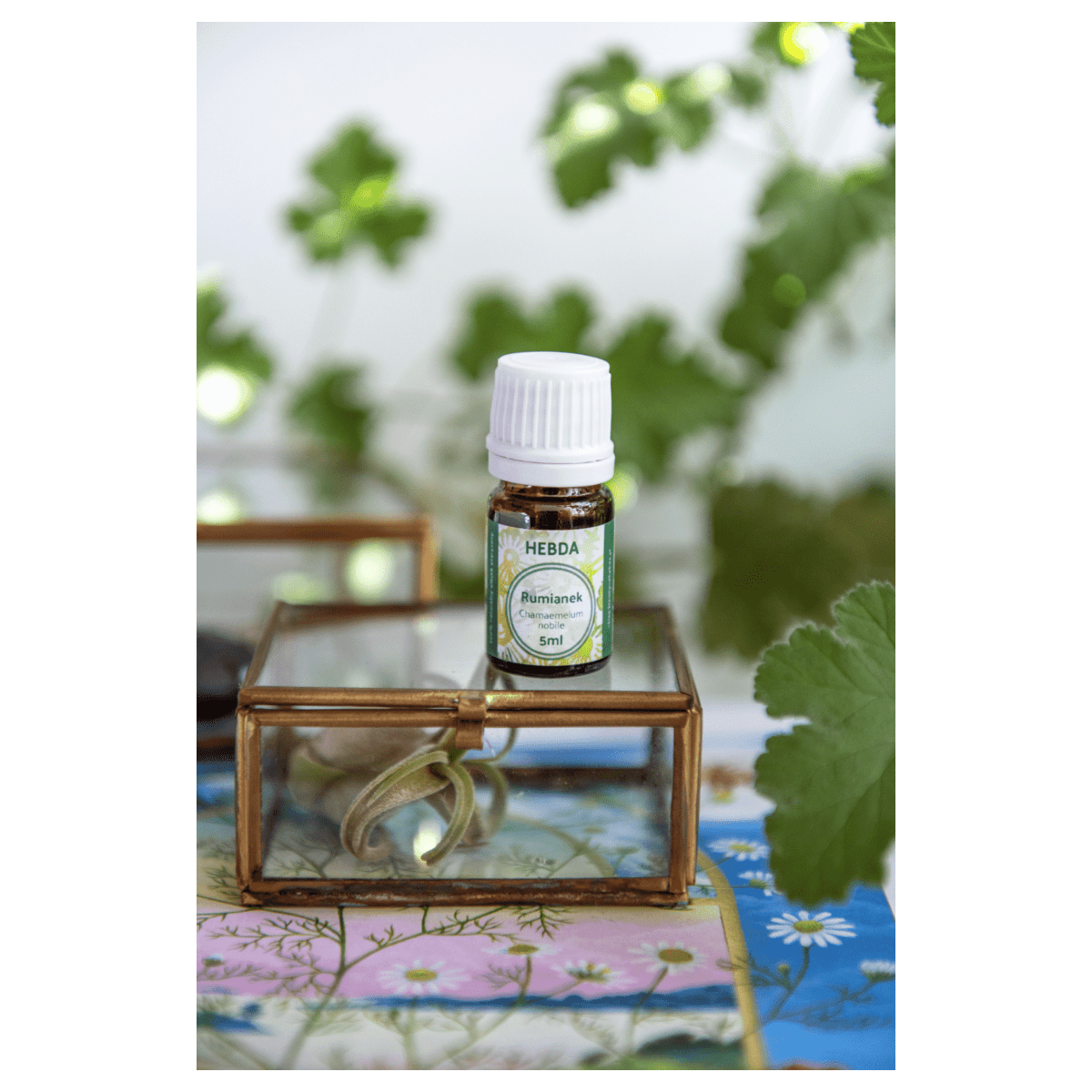 Olejek rumiankowy (na ząbkowanie) [5ml] - Klaudyna Hebda