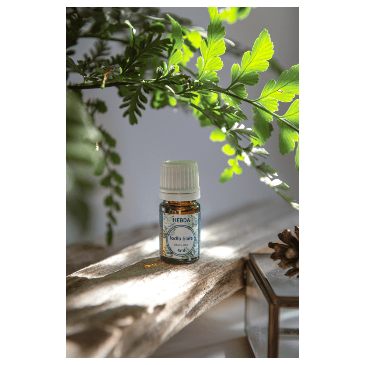 Olejek jodła biała [5 ml lub 15 ml] / Klaudyna Hebda