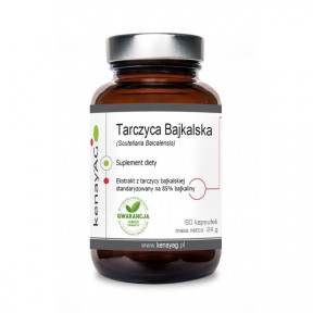 Tarczyca Bajkalska (Scutellaria Baicalensis) (60 kapsułek) - suplement diety