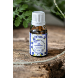 Olejek cynamonowy z liścia cynamonowca - kocimietkahasz.pl