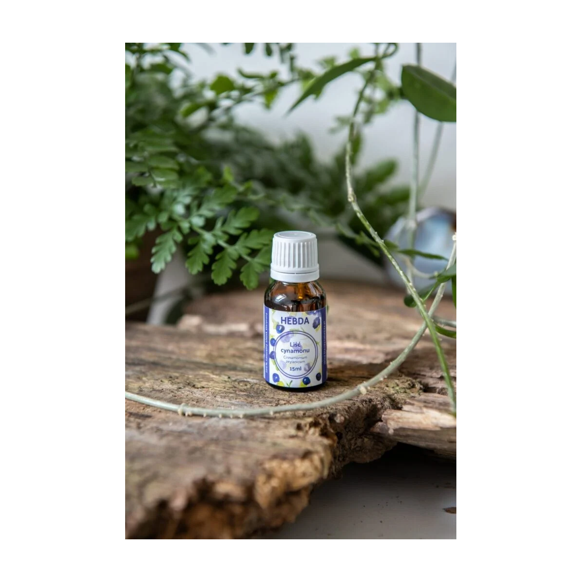Olejek cynamonowy z liścia cynamonowca - kocimietkahasz.pl