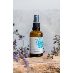 Spray DobraNocka - Klaudyna Hebda Nature