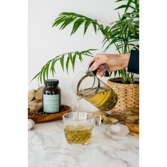 Herbata Liptus - Sklep zielarski online kocimietkahasz.pl