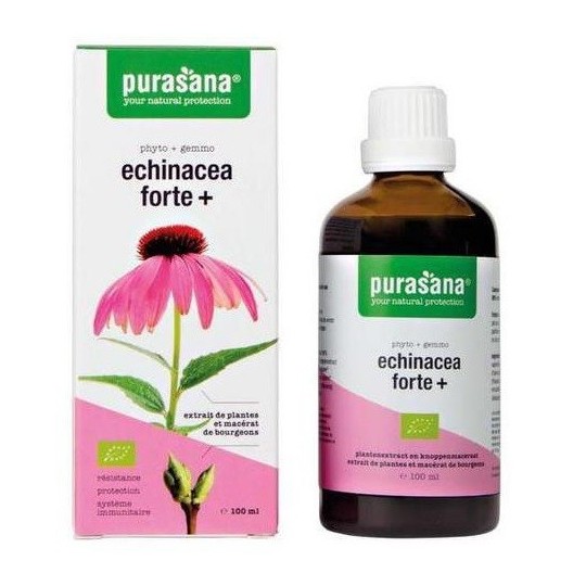 ECHINACEA FORTE (JEŻÓWKA PURPUROWA) KROPLE BIO 100 ml - PURASANA