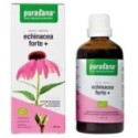 ECHINACEA FORTE (JEŻÓWKA PURPUROWA) KROPLE BIO 100 ml - PURASANA