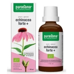 ECHINACEA FORTE (JEŻÓWKA PURPUROWA) KROPLE BIO 50 ml - PURASANA