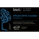Efficient 85% Fucoidan by Maritech® (60 kaps.) - kocimietkahasz.pl