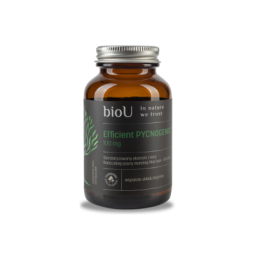 Efficient Pycnogenol® 65% OPC (60 kaps.)