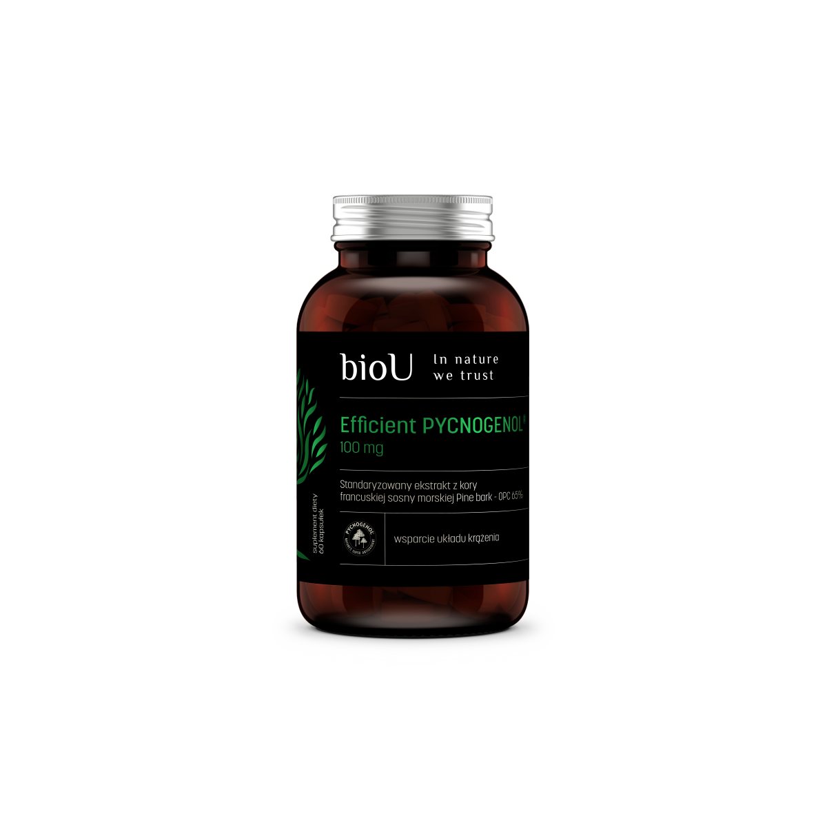 Efficient Pycnogenol® 65% OPC (60 kaps.)