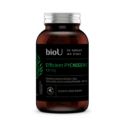 Efficient Pycnogenol® 65% OPC (60 kaps.)