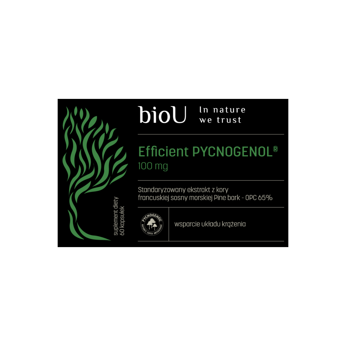 Efficient Pycnogenol® 65% OPC (60 kaps.)