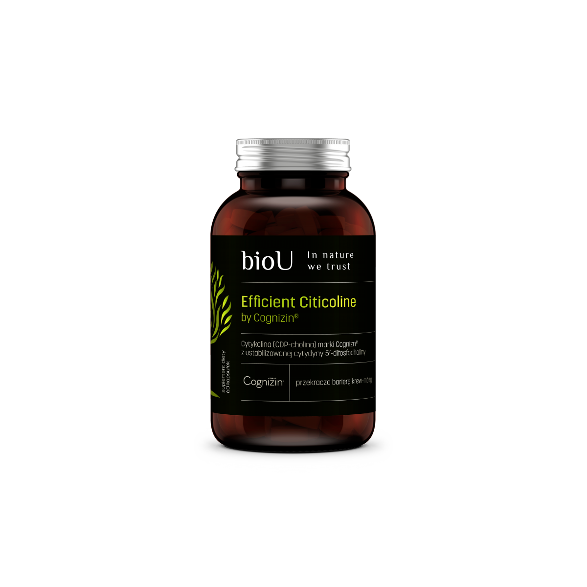 Efficient Citicoline By Cognizin® (60 Kaps.) - kocimietkahasz.pl