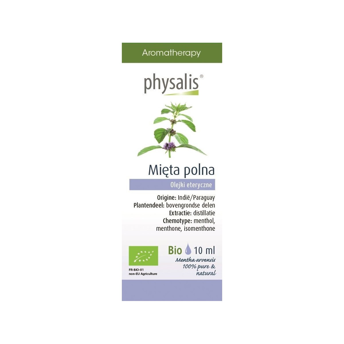 OLEJEK ETERYCZNY MIĘTA POLNA (AKKERMUNT) BIO 10 ml - PHYSALIS