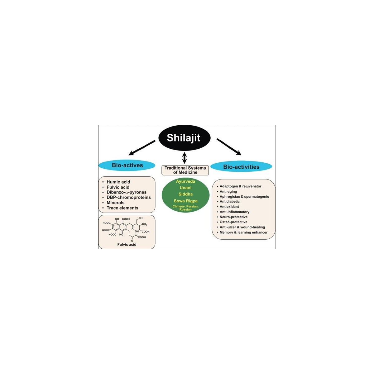 Mumio żywe pierwotne - Słoiczek zdrowia (35 g)