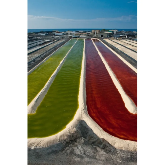 BioAstin® Astaksantyna 12 mg (50 kapsułek) - Kenay - kocimietkahasz.pl