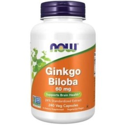 Ginkgo Biloba ekstrakt - Miłorząb Japoński (240 kaps.) - NOW FOODS
