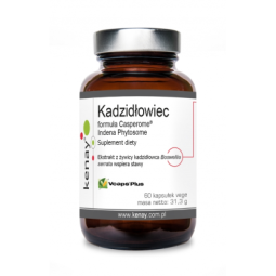 Kadzidłowiec formula Casperome® Indena Phytosome - kocimietkahasz.pl