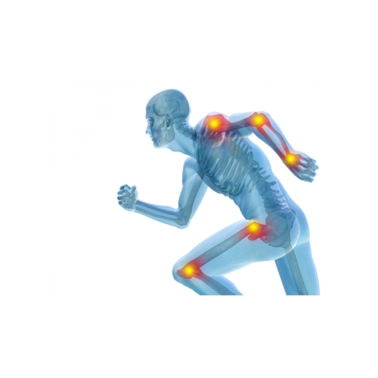 Kadzidłowiec formula Casperome® Indena Phytosome - kocimietkahasz.pl