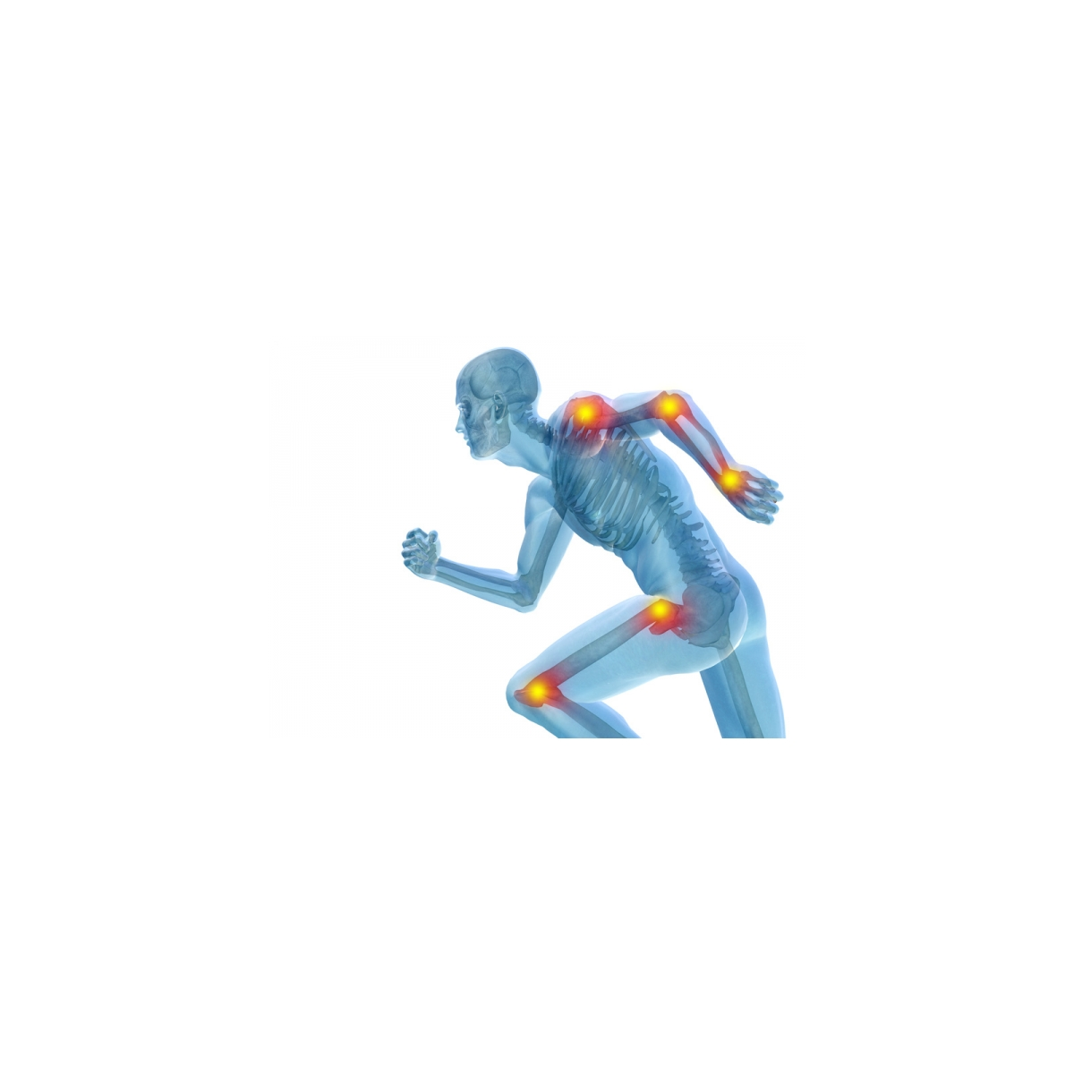 Kadzidłowiec formula Casperome® Indena Phytosome - kocimietkahasz.pl