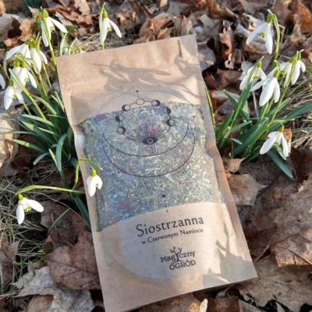 Herbatka ziołowa Siostrzanna 90g - kocimietkahasz.pl