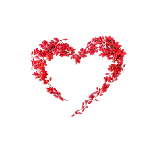 Berberyna REBERSA® (60 kapsułek) Kenay - kocimietkahasz.pl