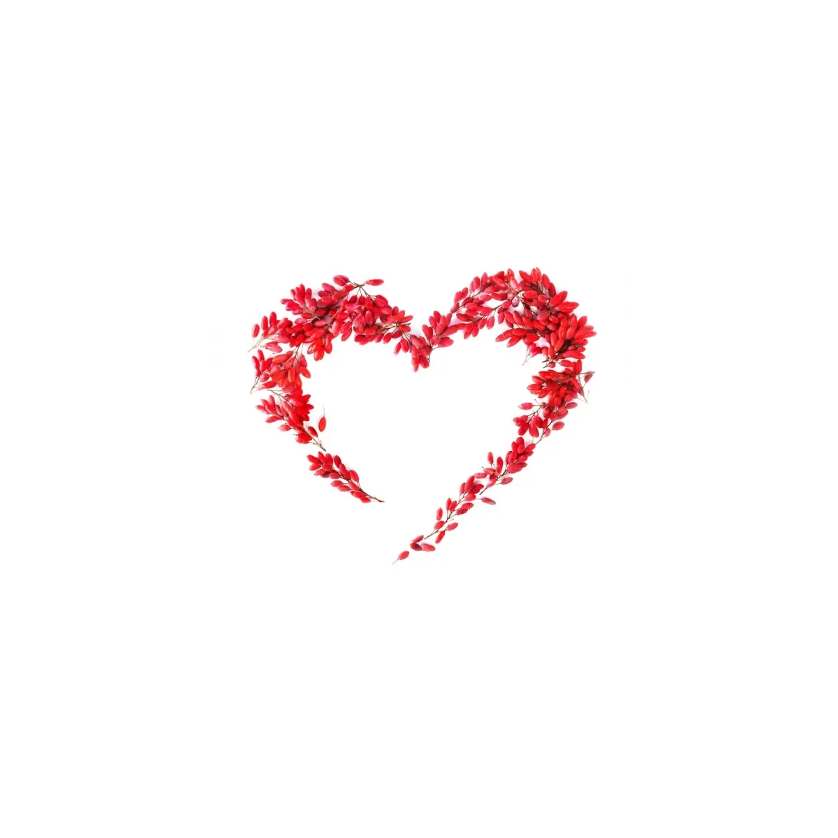 Berberyna REBERSA® (60 kapsułek) Kenay - kocimietkahasz.pl