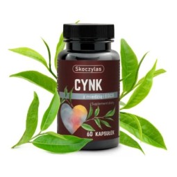 Cynk i Miedź + ECGC z Zielonej Herbaty (60 kaps) ...