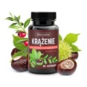 Skoczylas Krążenie ruszczyk, diosmina, kasztanowiec 60 ...
