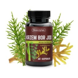 KRZEM BOR JOD skrzyp, bambus, algi 60 Kapsułek Skoczylas