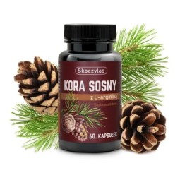 Skoczylas Kora Sosny + L- Arginina KRĄZENIE 60kap