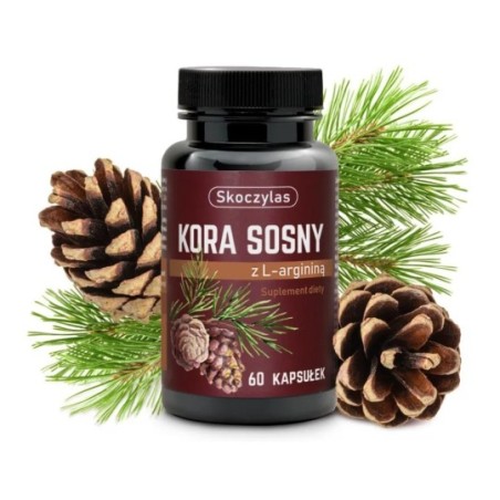 Skoczylas Kora Sosny + L- Arginina KRĄZENIE 60kap