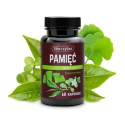 PAMIĘĆ miłorząb, bakopa, ginkgo biloba, różeniec - Skoczylas