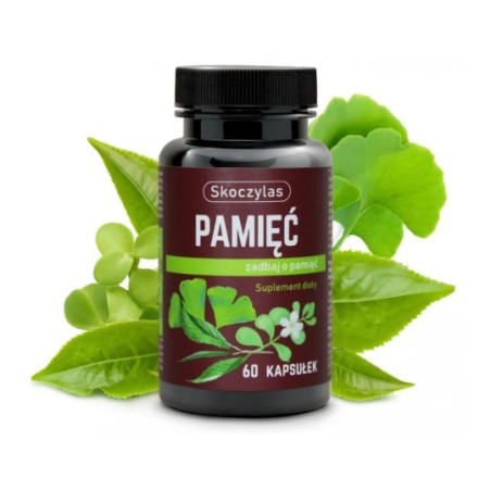 PAMIĘĆ miłorząb, bakopa, ginkgo biloba, różeniec - Skoczylas
