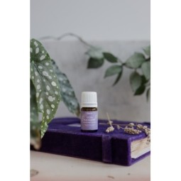 Ulga dla głowy – mieszanka olejków eterycznych