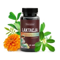 Laktacja dla kobiet karmiących 60kaps. Skoczylas