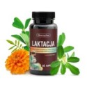 Laktacja dla kobiet karmiących 60kaps. Skoczylas