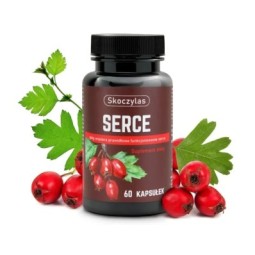 Serce - Marek Skoczylas