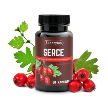 Serce - Marek Skoczylas