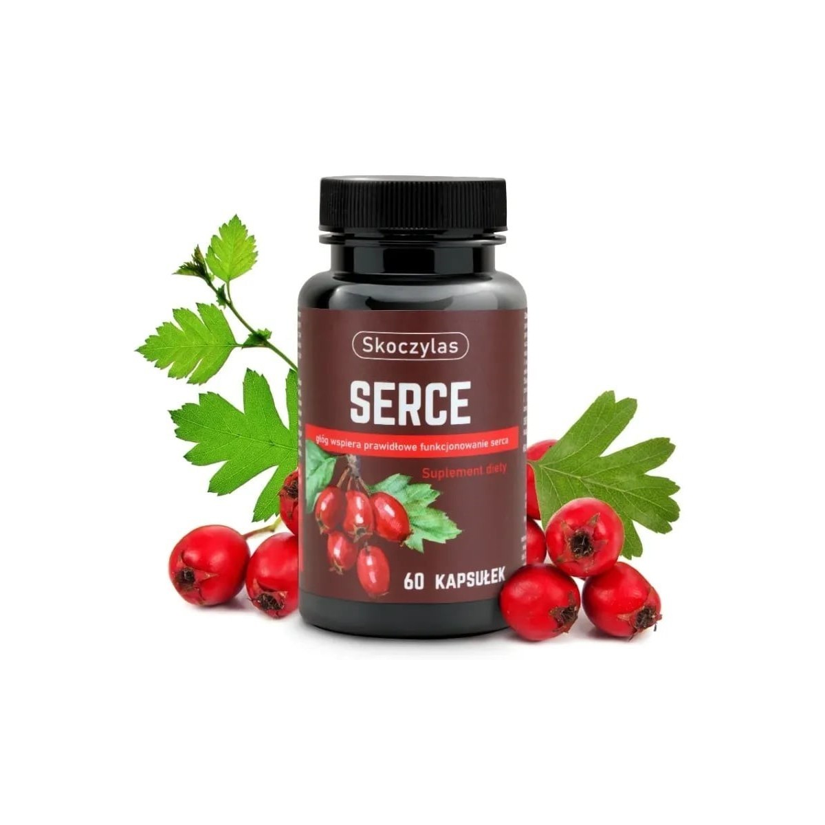 Serce - Marek Skoczylas