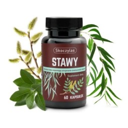 Skoczylas Stawy 60 kapsułek