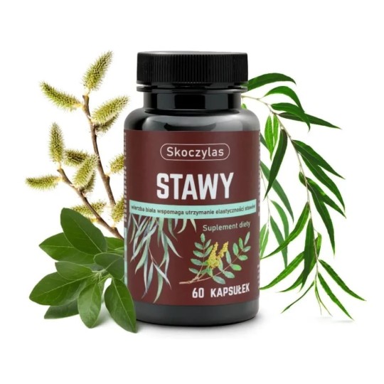 Skoczylas Stawy 60 kapsułek