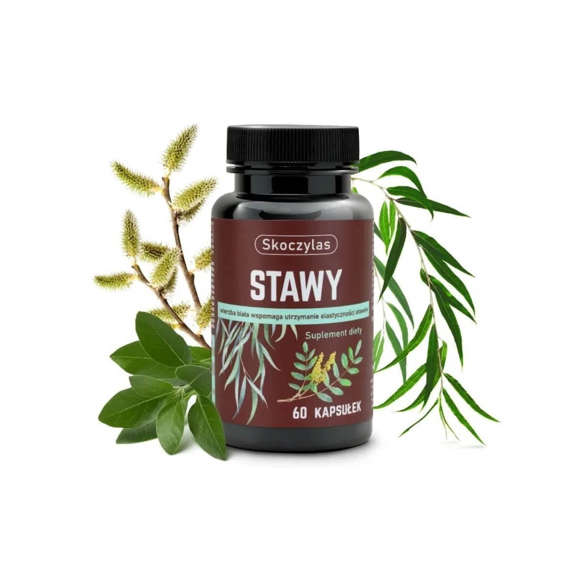 Skoczylas Stawy 60 kapsułek