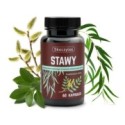 Skoczylas Stawy 60 kapsułek