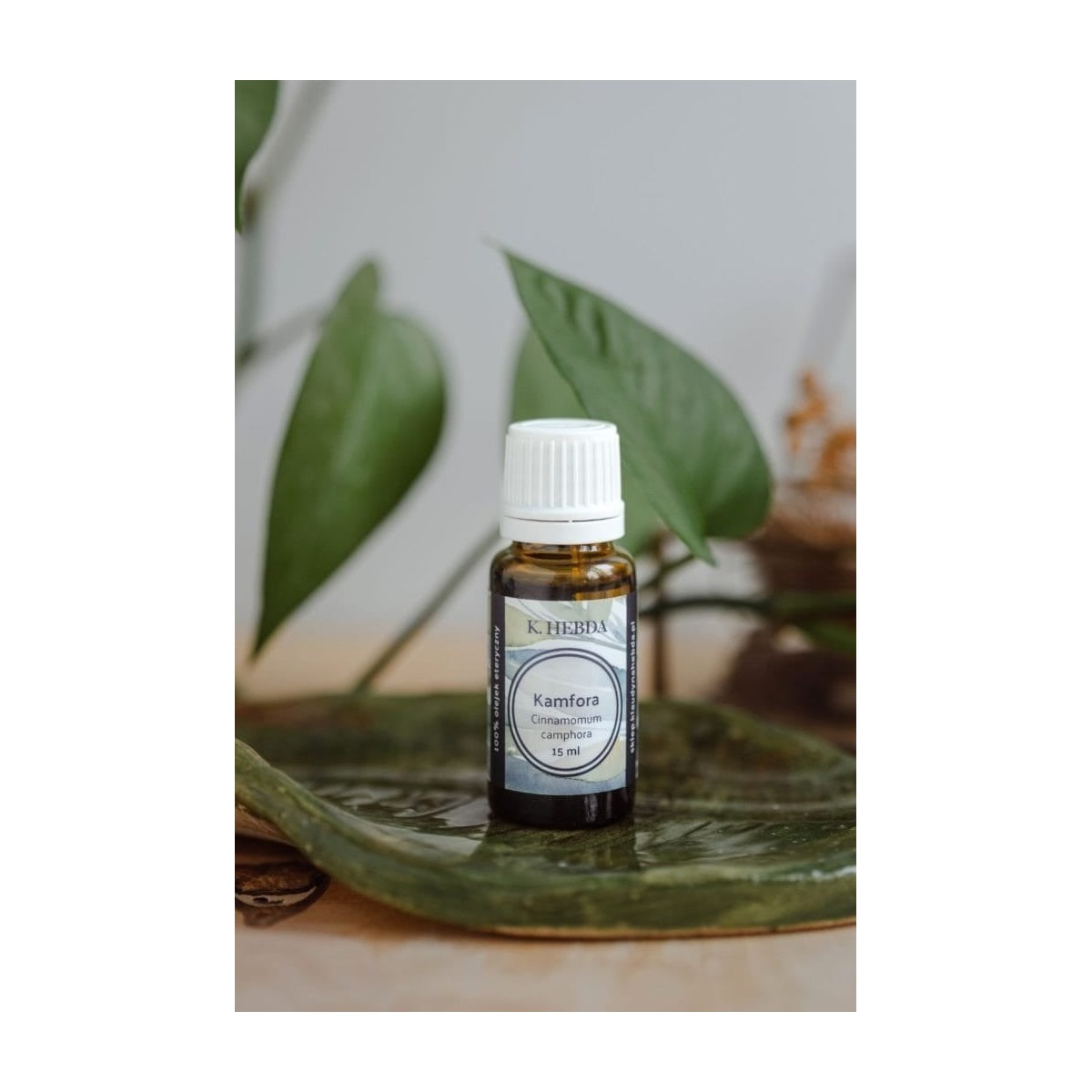 Olejek kamforowy [15 ml]