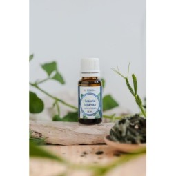 Olejek szałwia lekarska [15 ml] - Klaudyna Hebda