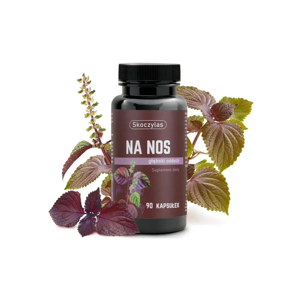 Na nos - Marek Skoczylas