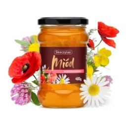 MIÓD wielokwiatowy - Skoczylas - 400g