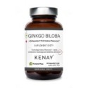 KENAY Ginkgo Biloba z Ginkgoselect Plus Indena ...