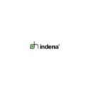 KENAY Ginkgo Biloba z Ginkgoselect Plus Indena ...